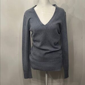 Autumn Cashmere V-Neck Sweater in Slate Blue-Gray